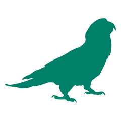 Parrot bird silhouette bird