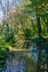 The Monza park at October