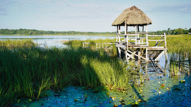 View of Lake Coba, near the archaelogical zone of the great classical period Mayan city of Coba,Yucatan,Mexico