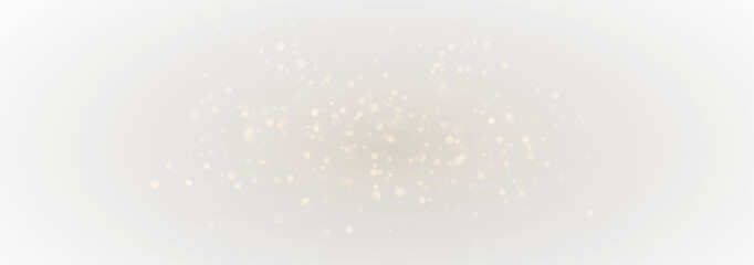 Golden Stardust Burst