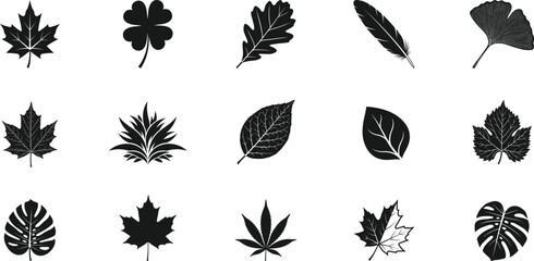 Grunge leaf silhouette collection of various plant species