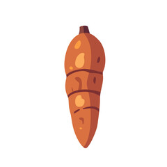 Brown cassava root tropical starchy vegetable, isolated flat style vector illustration
