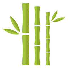 Obraz premium Bamboo light green three close straight icon