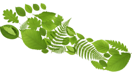 Ecological footprint concept green leaves forming a footprint on a black background