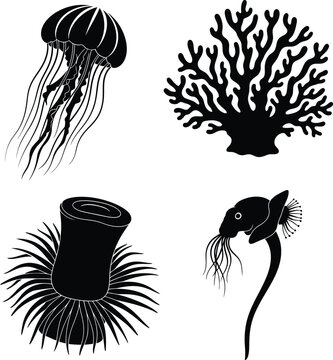 Black silhouettes of jellyfish, coral, sea anemone, and hydroid marine organisms.