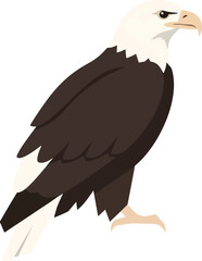 Stylized illustration of a bald eagle facing right against a white background