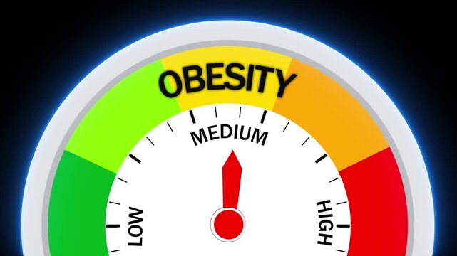 Obesity Level Gauge Indicating Medium Risk meter indicator