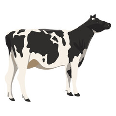 Animal cow illustration