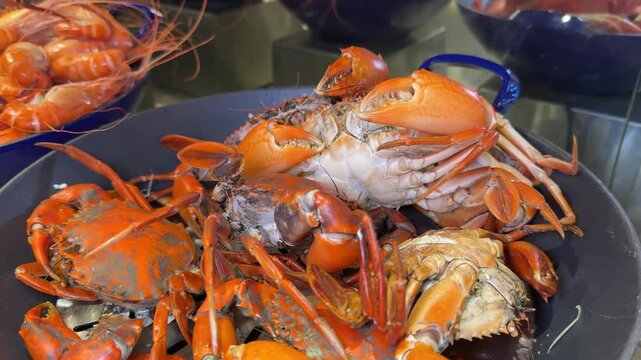 Seafood platter with lobster, king crab, mussels on ice, mixed salad, and creamy chowder on restaurant table, gourmet dining experience, coastal cuisine, vibrant colors. High quality 4k footage