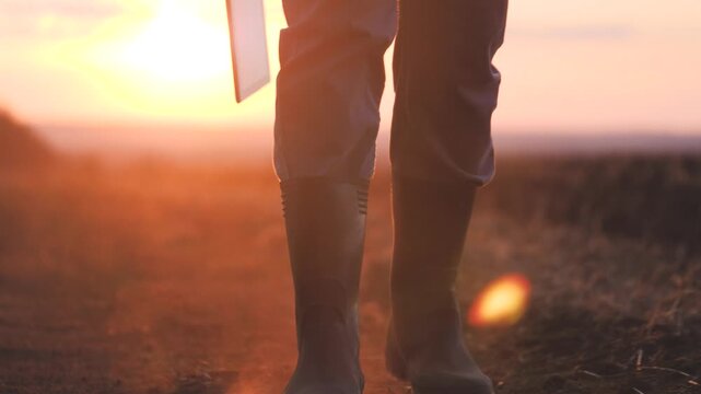 A farmer in rubber boots and a tablet in his hands walks through the green field in rubber boots, the concept of farming business, view the planted shoots of crops, the harvest of eco-crops.