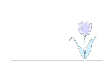 Single continuous line of tulip flower