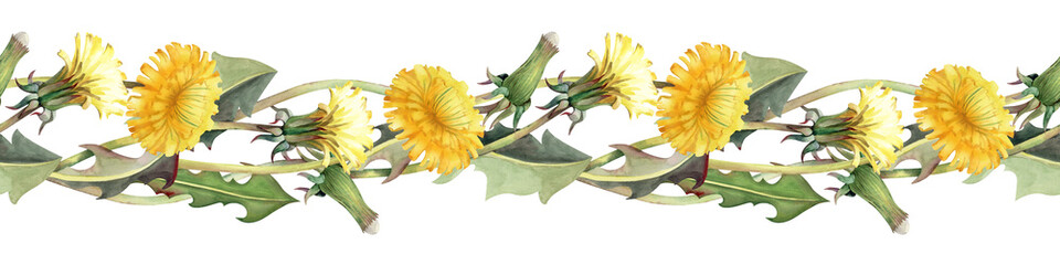 Seamless watercolor border with yellow dandelion flowers and leaves on an isolated background. Horizontal botanical illustration of wildflowers in natural tones for textiles, summer design.