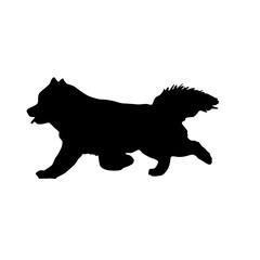 Silhouette of a fluffy dog running on a white background