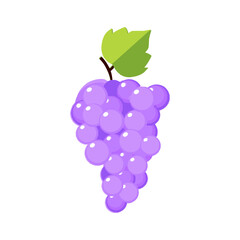 Grape Vector Illustration. Purple Grape Vector. Perfect for food packaging design, juice branding, healthy lifestyle graphics, botanical elements, product labels, stickers, and digital artwork