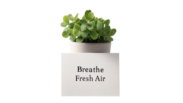 PNG of A vibrant green plant in a modern pot with a motivational sign, creating a refreshing indoor atmosphere. - Powered by Adobe