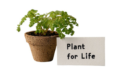 PNG of A vibrant green plant in a textured pot with a sign that reads, 'Plant for Life', symbolizing growth and sustainability.