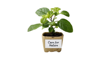 PNG of A small green plant in a biodegradable pot labeled 'Care for Nature', symbolizing environmental awareness and growth.