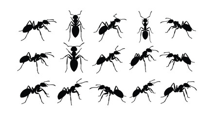 A collection of black silhouette ants displayed in a grid pattern