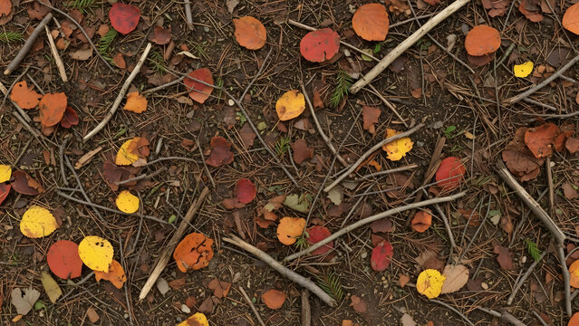 Autumn's Embrace: A vibrant display of nature's artistry, featuring fallen leaves in a kaleidoscope of colors strewn across the forest floor, evoking the tranquility of the season.