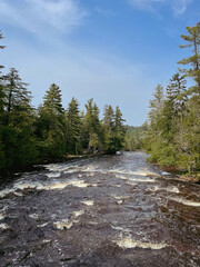 Summer day on the Tahquamenon River near Tahquamenon Falls in northern Michigan