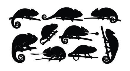 Black silhouettes of chameleons in various poses and arrangements