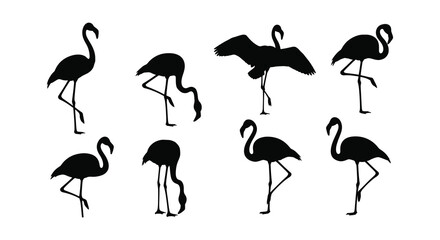 A collection of black silhouette illustrations depicting various flamingo poses and forms