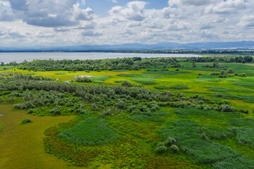 Aerial view of the Nysa Klodzka River and Otmuchow Lake in the Polish village of Otmuchow, calm water and rural natural landscape captured from drone perspective on a bright clear day