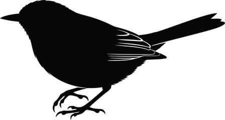 Black silhouette of a small bird standing on white background