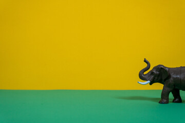 Elephant Toy on Vibrant Background