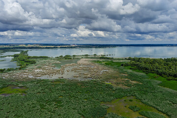 Aerial drone view of Nyskie Lake and protected nature reserve shoreline in Opole region Poland, tranquil water surface, natural wetlands, green forests and scenic landscape