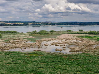Aerial drone view of Nyskie Lake and protected nature reserve shoreline in Opole region Poland, tranquil water surface, natural wetlands, green forests and scenic landscape