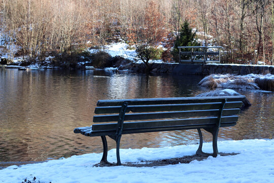 An empty park bench sits on the snowy shore of a calm lake in a winter landscape. Bare trees and dry grass frame the quiet, peaceful scene under soft sunlight.