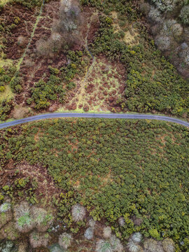 Aerial view of a winding road slicing through a landscape of contrasting textures, colors, and tones, Treslea Downs, Bodmin, England, United Kingdom.