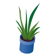 Valentines potted plant isometric