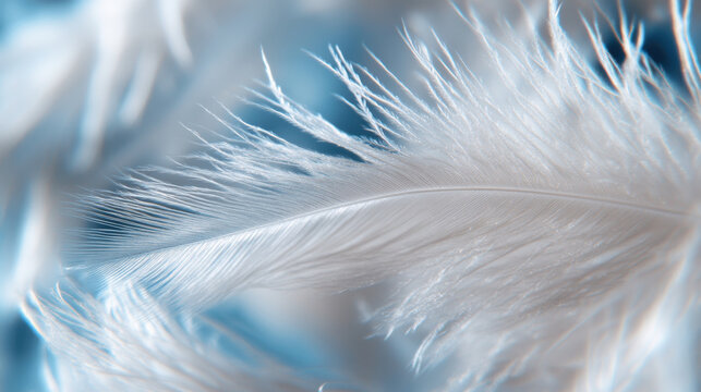 An intricate close-up of feathers portrays soft textures against a dreamlike background, invoking feelings of tranquility, beauty, and the delicacy of nature's creations.