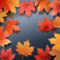 Obraz premium Vibrant Autumn Maple Leaves Border Arrangement in Warm Red Orange and Yellow Hues Set Against a Subtle Dark Gradient Background with Soft Shadows Creating a Festive Seasonal Frame