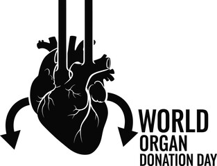 Black and graphic illustration of a human heart with arrows indicating donation, marking world organ donation day
