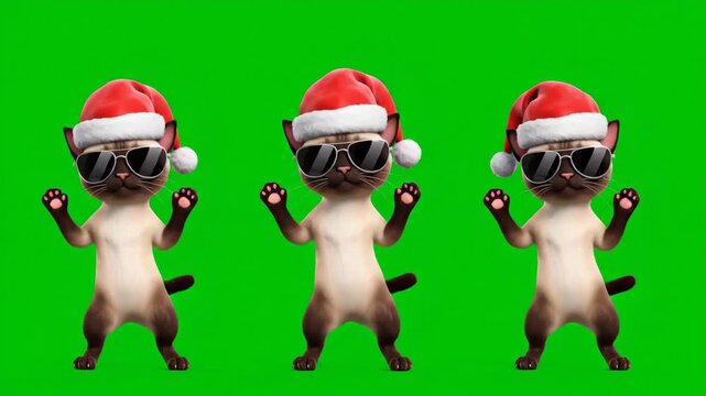 Funny Dancing Cats in Santa Hats on Green Screen - Three 3D cartoon cats wearing Santa hats and sunglasses are shown dancing together on a green screen background.