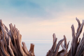 Serene coastal scene featuring driftwood against a tranquil seascape at sunset, evoking calmness