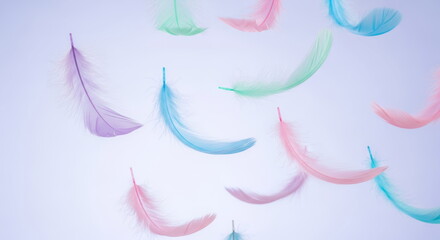 Obraz premium Soft Pastel Colored Feathers Floating And Falling Against A Light Background Dreamy Backdrop Concept