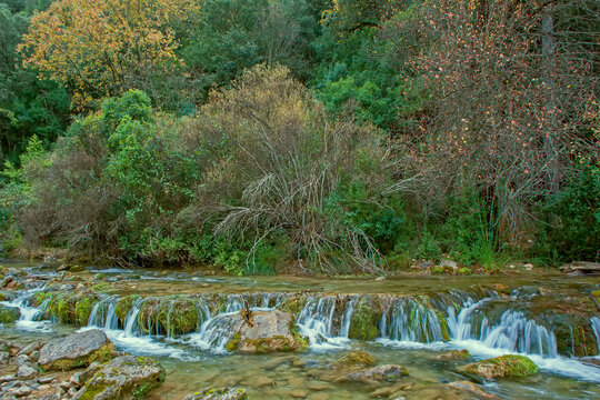 R&iacute;o Borosa por el Cerrada de Elias,  en el parque natural de Cazorla, Segura y Las Villas.