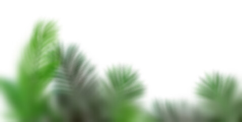 Soft blurred tropical green leaves creating a clean minimalist natural background.