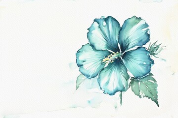 Hibiscus rosa, Blue flower isolated on white background