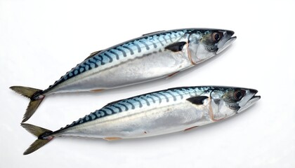 Fototapeta premium Two Fresh Mackerel Fish Isolated on White Background.