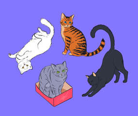 Cute cats vector illustration on violet background