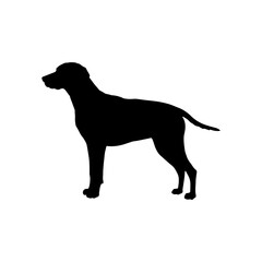 Weimaraner dog silhouette icon vector flat illustration design.