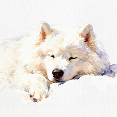 Serene Slumber of a White Wolf: A stunning watercolor depiction of a peaceful white wolf immersed in a deep slumber, capturing the tranquility of its dreams.