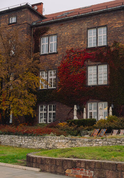 Autumn at Wawel Castle with Red Leaves Ivy on Historic Walls and View ogr the Vistula River and Krakow Panorama