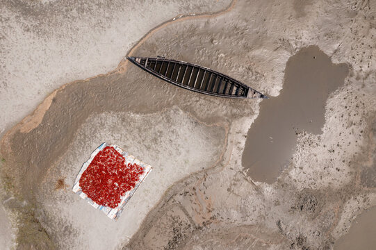 Aerial view of a lone boat rests on the parched earth beside a vibrant patch of red chillies drying in the sun, Bogura, Rajshahi Division, Bangladesh.