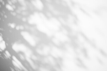 Obraz premium Shadow overlay effect. Abstract sunlight background with organic botanical shadows from plants, leaves, and branches.